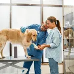 Deo tela koji mnogo može da kaže o zdravlju pasa - veterinari to često gledaju prvo