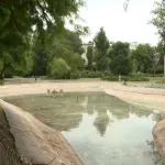 Tokom jesenje akcije “Zamenite stari papir za sadnice” spašeno 161 drvo