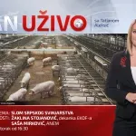 Gledajte UŽIVO Dan uživo: Slom srpskog svinjarstva