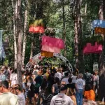 Muzika se vraća na planinu: U petak počinje 11. Mountain Music Fest na Divčibarama