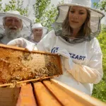 Med je lek, a ne samo hrana: Kompanija Mozzart nastavlja da čuva prirodno blago Vlasine
