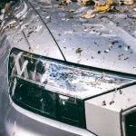 Kako bezbedno ukloniti ptičji izmet sa automobila - bez trajnih oštećenja laka