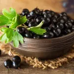 Istraživanja otkrila zanimljiv efekat crne ribizle na metabolizam i krvne sudove