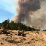 "Vojvodina nema šume za bacanje": LSV kaže da nadležni nisu adekvatno reagovali na stanje u Deliblatskoj peščari