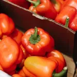 Bugarska vratila 11,6 tona paprika iz Severne Makedonije