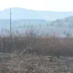 Požari u Kladovu pod kontrolom, izgorelo više od 1.000 hektara