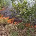 Ukinuta vanredna situacija na području tri naselja u Kladovu, opasnost od požara i dalje postoji