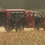 (VIDEO) Izgorela velika površina niskog rastinja i šume na plaži Oficirac u Novom Sadu