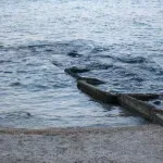 Neprijatno iznenađenje za kupače na Pagu - mrtvački sanduk nasukan na obalu (FOTO)