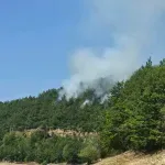 KP negira navode srpskih tabloida da je sa Kosova ispaljena "vatrena lopta" kod Brnjaka