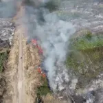 Klimatolog: Treće leto zaredom u Srbiji imamo ozbiljan problem sa sušom, poslednja opomena da se hitno deluje