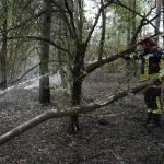Čaušić: Aktivno 12 požara, za Deliblatsku peščaru se strahuje zbog jakih najavljenih vetrova