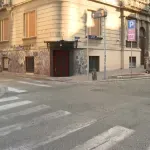 (FOTO) Zbog snimanja filma u centru Beograda drvo javora "privremeno izmešteno" - smetalo za kadar