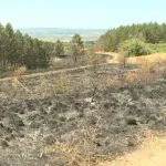 Lokalizovan požar u selu u blizini Leskovca, vatrogasci i dalje dežuraju