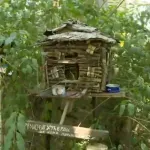 Komšija za primer sa Karaburme: Počeo je od pojilice za ptice, a završio sa zelenom oazom za ceo kraj