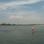 Novosadski Dunavac na naslovnoj strani Njujork Tajmsa