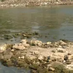 Exceptionally low Danube reveals centuries-old fortification near Novi Sad