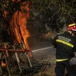 Firefighters battle major blaze in Serbia's Deliblato Sands as 1,500 hectares burn