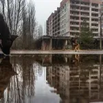 Osam najčudnijih otkrića koja su naučnici pronašli u Černobilju