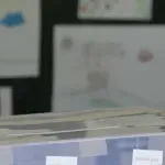 U dijaspori veliko interesovanje za izbore, ali i razdaljine do biračkih mesta: Da li će svi imati priliku da glasaju 25. oktobra