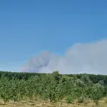 Fire breaks out again in Deliblatska pescara