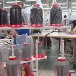 RZS: U Srbiji prošle godine 2,8 miliona zaposlenih, stopa zaposlenosti 51,2 odsto