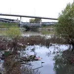 Fekalije, mulj i hemikalije u Čukaričkom rukavcu: Godine smrada i obećanja bez rešenja