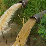 CLS: U budžetu za 2025. za nacionalni stadion 21 milijarda dinara, a za preradu otpadnih voda - nula