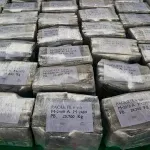 "Majka da ne čačka kofere s kokainom": Komunikacija šefa škaljaraca Igora Vukotića sa saradnikom