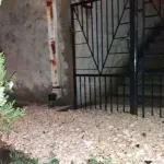 Poplave na Kosovu: Kurti kaže da je situacija pod kontrolom