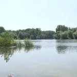 Pokret Bravo: Vlast pokušava da usvoji projekat "Novi Sad na vodi" bez javne rasprave