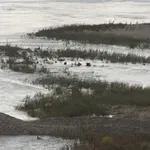 Vanredna situacija u opštini Lebane zbog izlivanja reke