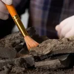 Kopija Homerove "Ilijade" pronađena u mumiji staroj 1.600 godina