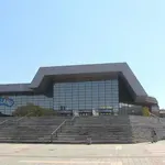 Toni Cetinski otkazao koncert u Novom Sadu zbog tvrdnji branitelja da je Spens bio logor