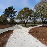 Arhitekta Mitrović: Gradnja Akvarijuma neće ugroziti park na Ušću, neće biti seče, već presađivanja drveća