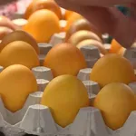 Koliko su jaja zaista zdrava?