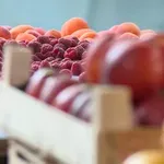 Carinici Severne Makedonije sprečili šverc 12,5 tona voća i povrća