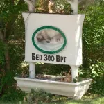 (FOTO) Beba alpaka novi stanovnik Beo zoo-vrta