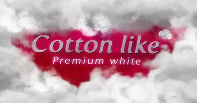 Tajni sastojci uspeha: Šta čini srpske premium proizvode tako posebnim?