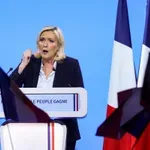 Presenečenje iz Pariza: Marine Le Pen ne želi več sodelovati z AfD