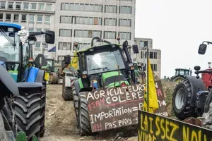 Po množičnih protestih kmetov v Bruslju le podprli spremembe kmetijske politike