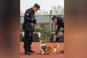 Kitajska policija ima v svojih vrstah novega člana