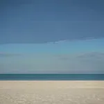Kaj se je zgodilo, ko je po plaži posipal sol