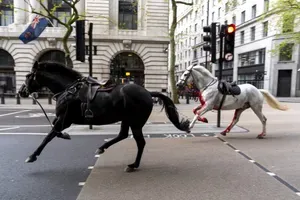 Po ulicah Londona bezljali vojaški konji, v incidentu poškodovanih več ljudi