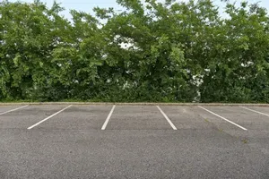 Je to najdražje parkirišče v Evropi? Nizozemci kar ne morejo verjeti