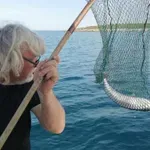 Slovenski ribič ujel najbolj strupeno ribo na svetu: lokacija je vse presenetila