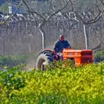 Οι προτάσεις του ΠΑΣΟΚ για το αγροτικό ρεύμα – «Ώρα για πραγματική ενεργειακή δικαιοσύνη»