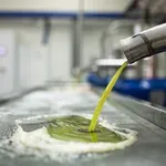 Ελαιόλαδο: Στα 8,5 ευρώ το λίτρο στο ράφι – Γιατί οι παραγωγοί πωλούν ακόμη και με ζημιά
