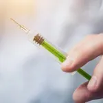 Ενθαρρυντικά μηνύματα για την καταπολέμηση του καρκίνου του εγκεφάλου