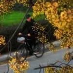 Φθινόπωρο: Η εποχή που μας φέρνει πιο κοντά στους ανθρώπους μας